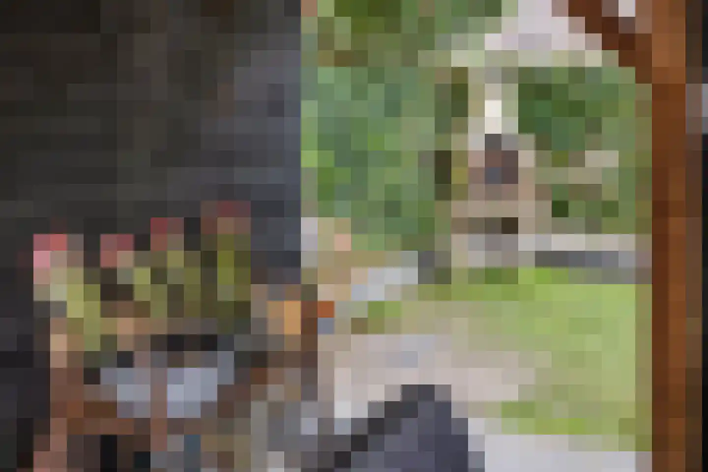 Julianalaan 22 Heerde thumbnail 30