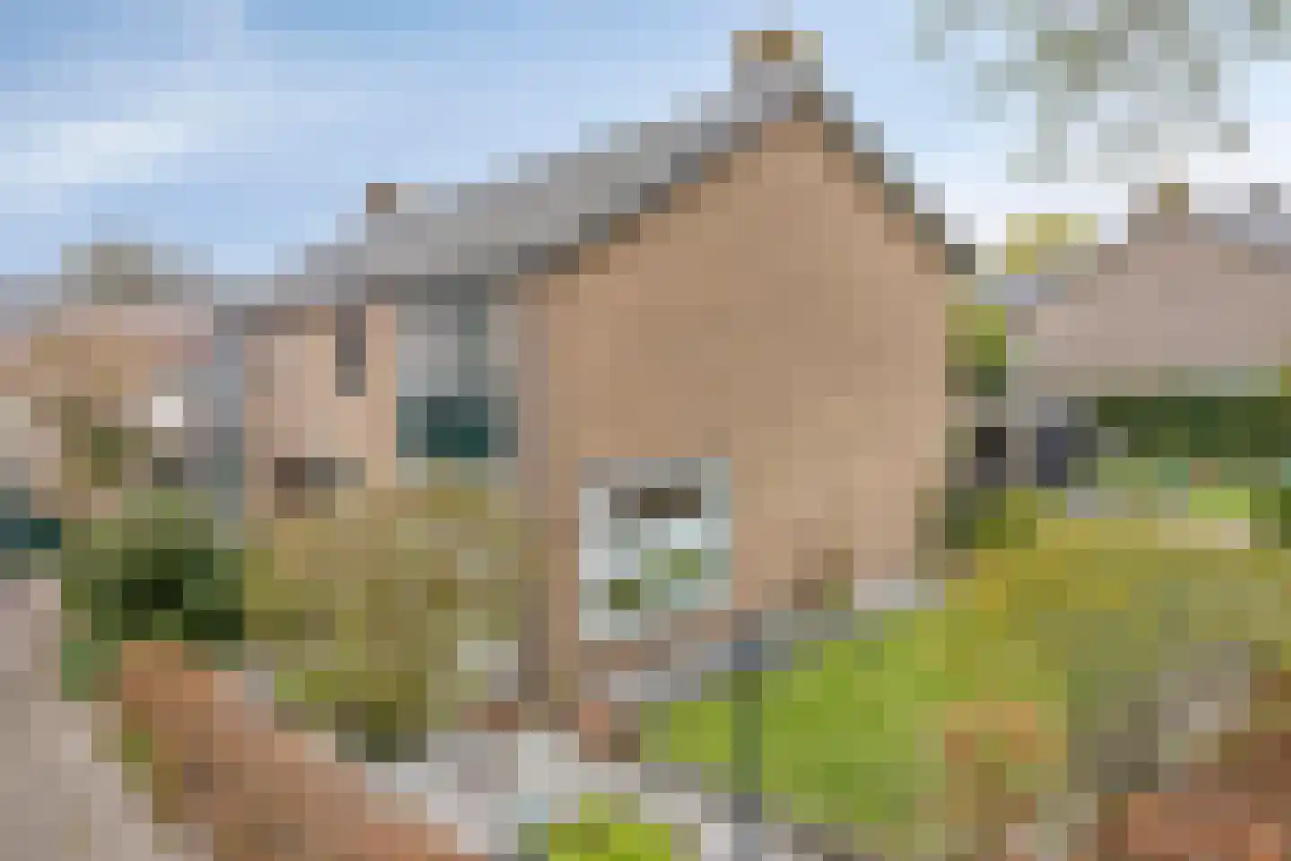 Julianalaan 22 Heerde thumbnail 33