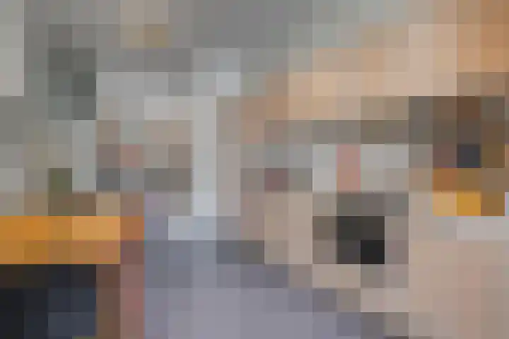 Julianalaan 23 Delft thumbnail 10