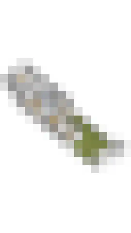 Julianalaan 23 Delft thumbnail 33