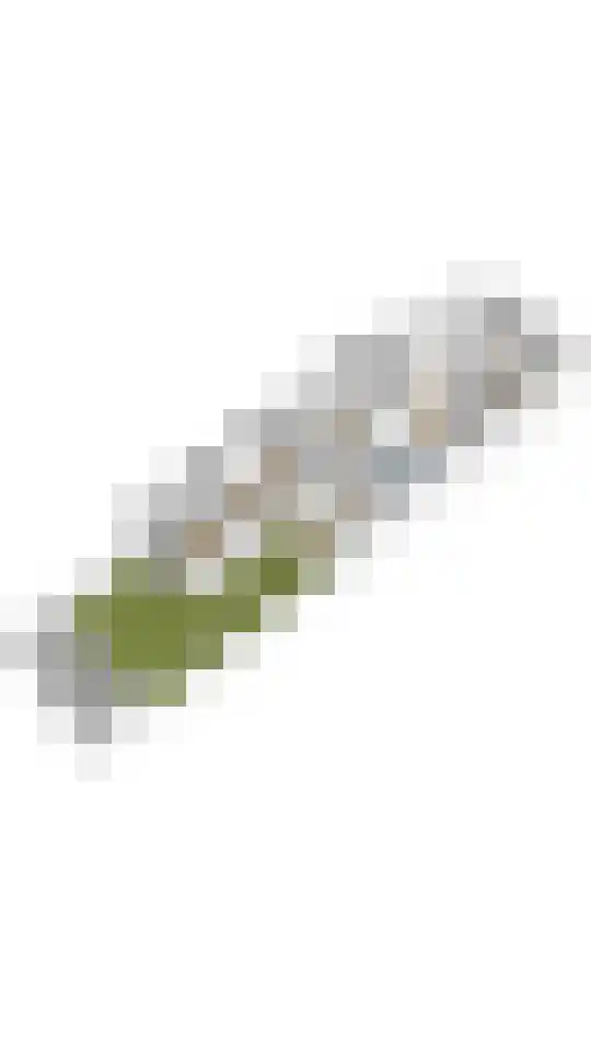 Julianalaan 23 Delft thumbnail 34