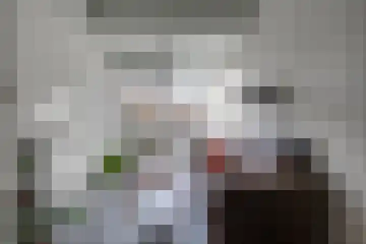 Julianalaan 23 Delft thumbnail 9