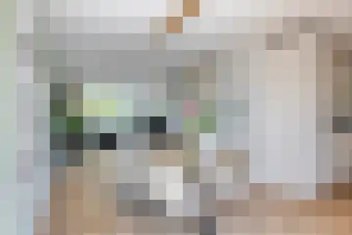 Julianalaan 23 Montfoort thumbnail 12
