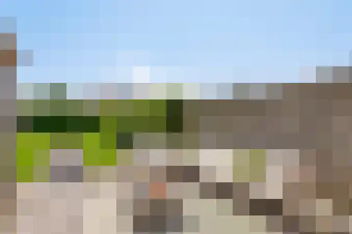 Julianalaan 23 Montfoort thumbnail 38