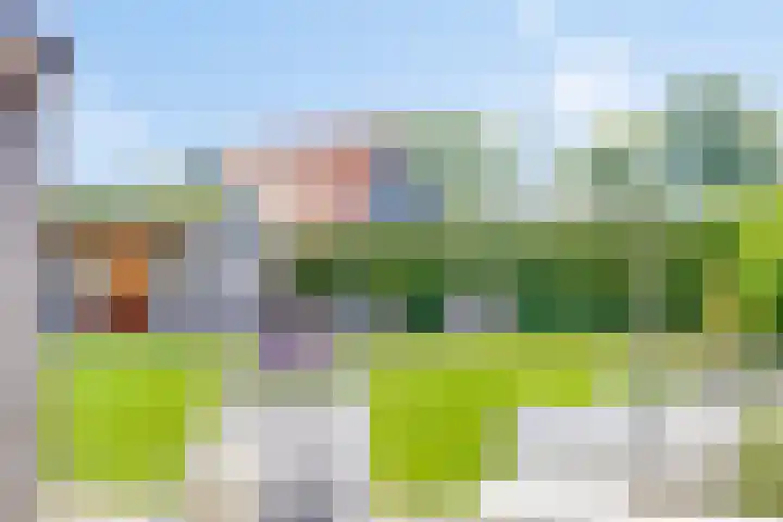 Julianalaan 23 Montfoort thumbnail 39