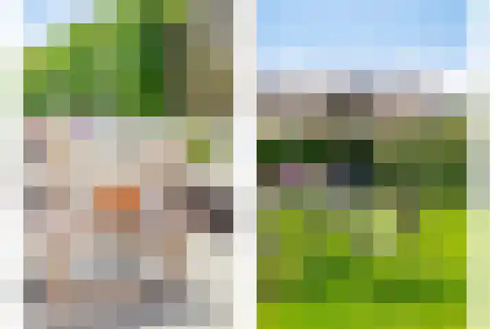Julianalaan 23 Montfoort thumbnail 40