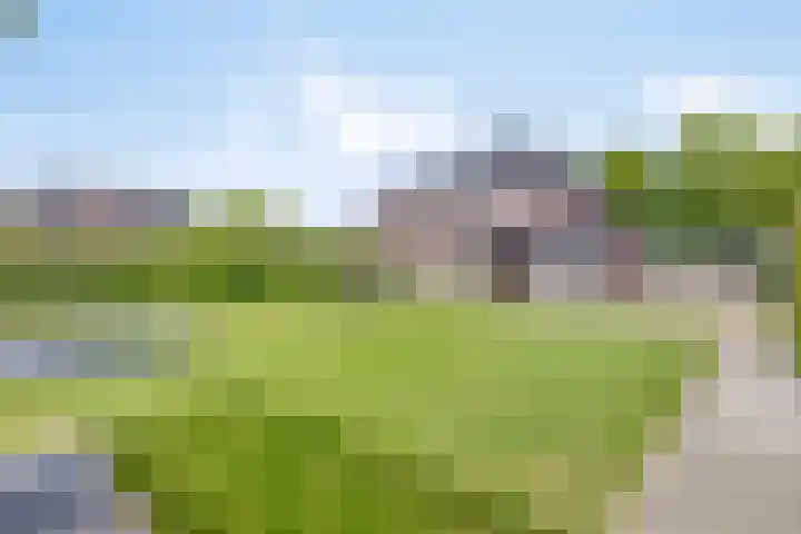Julianalaan 23 Montfoort thumbnail 42