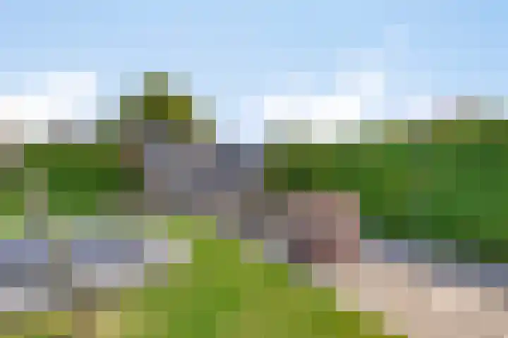 Julianalaan 23 Montfoort thumbnail 45