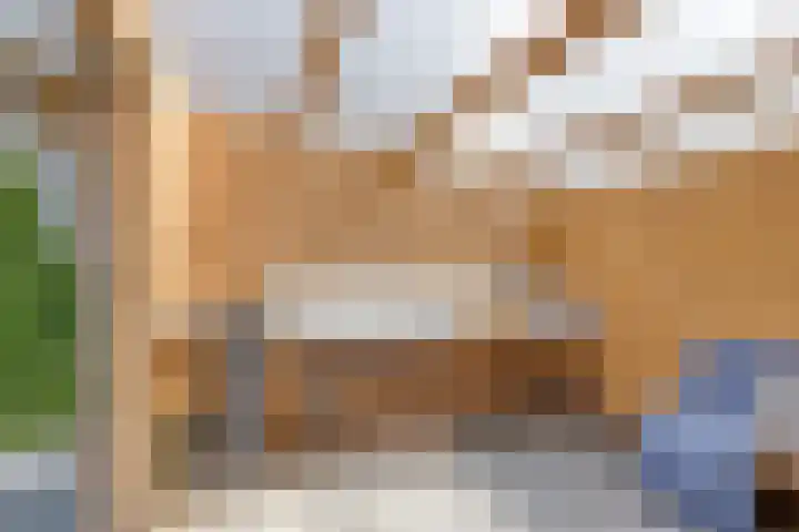 Julianalaan 23 Montfoort thumbnail 46