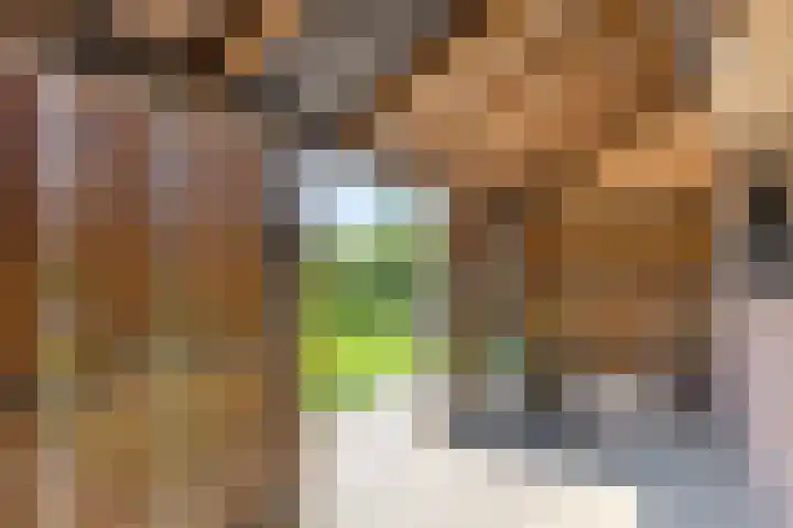 Julianalaan 23 Montfoort thumbnail 50
