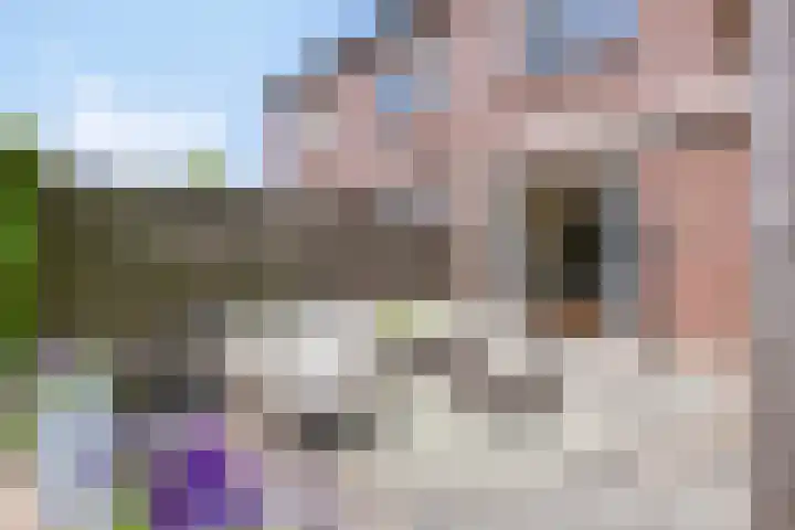 Julianalaan 23 Montfoort thumbnail 51