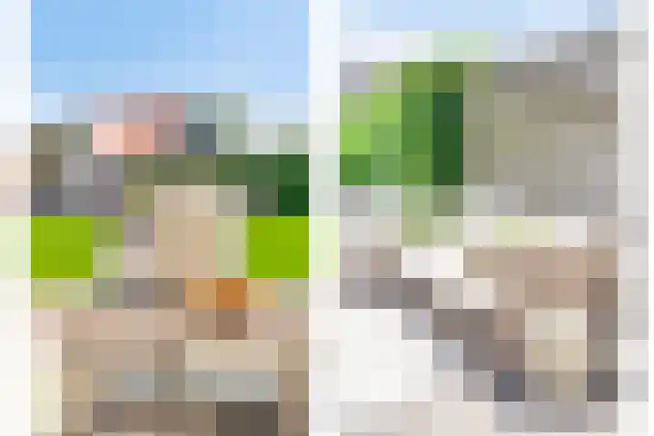 Julianalaan 23 Montfoort thumbnail 52