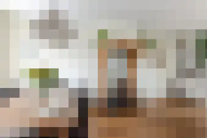 Julianalaan 23 Oosterhout thumbnail 11