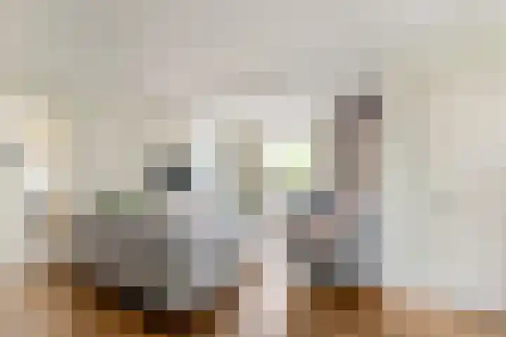 Julianalaan 23 Oosterhout thumbnail 12