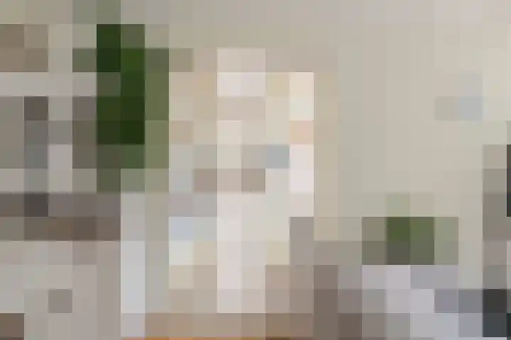 Julianalaan 23 Oosterhout thumbnail 14