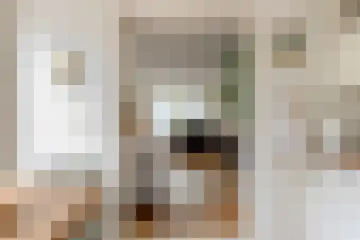 Julianalaan 23 Oosterhout thumbnail 15