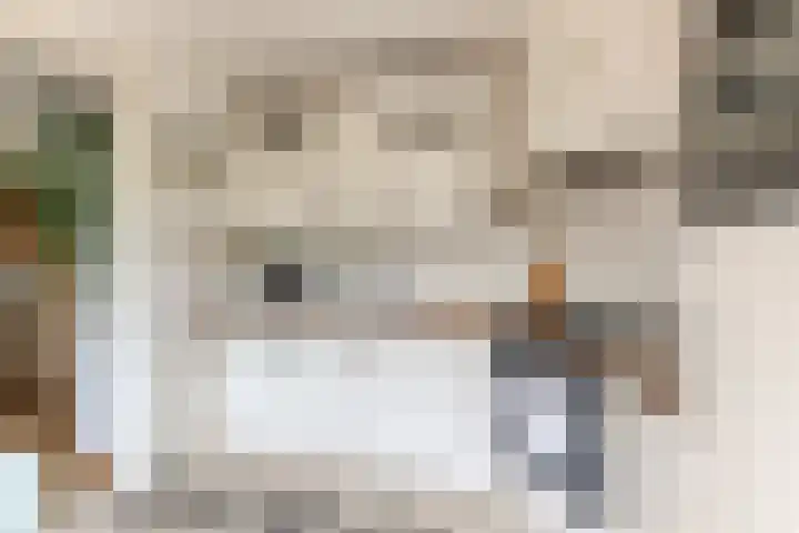 Julianalaan 23 Oosterhout thumbnail 16