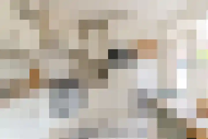 Julianalaan 23 Oosterhout thumbnail 17