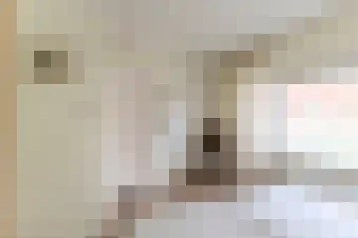Julianalaan 23 Oosterhout thumbnail 19