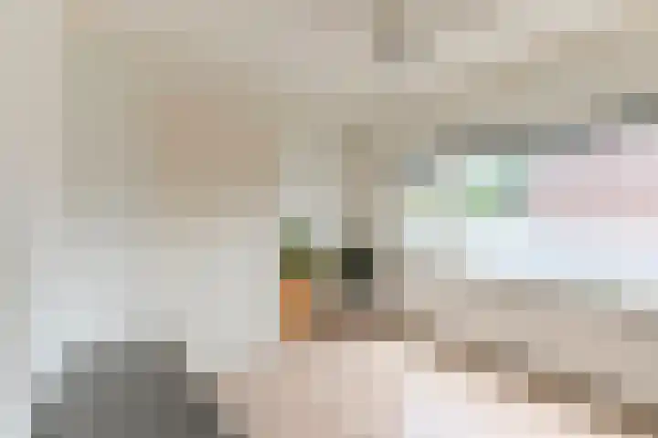 Julianalaan 23 Oosterhout thumbnail 22