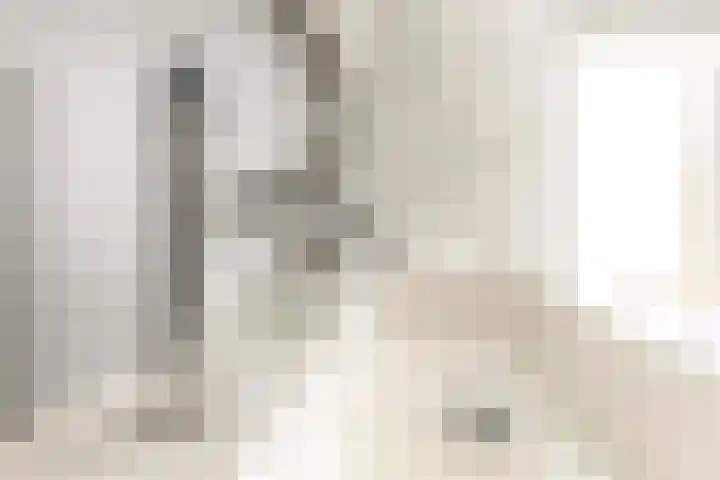 Julianalaan 23 Oosterhout thumbnail 25