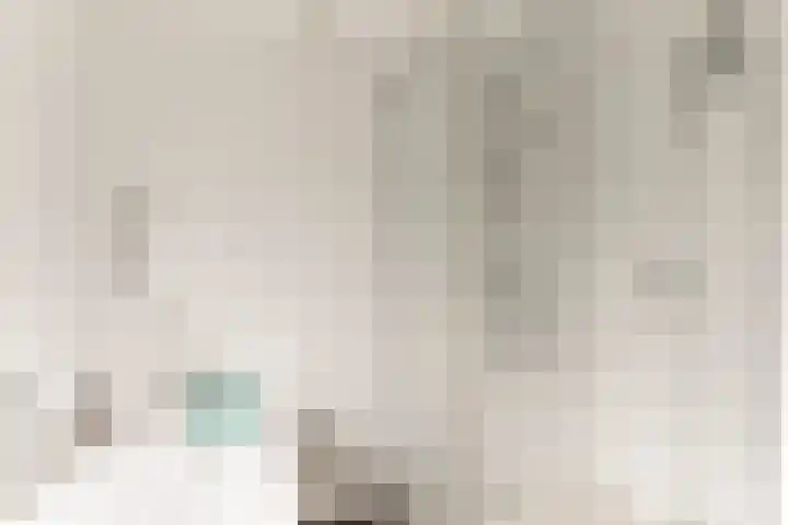 Julianalaan 23 Oosterhout thumbnail 27