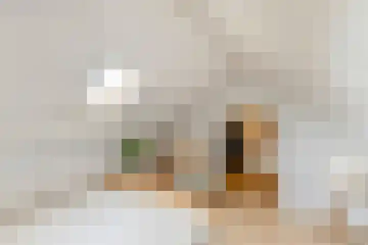 Julianalaan 23 Oosterhout thumbnail 30