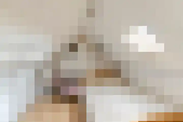 Julianalaan 23 Oosterhout thumbnail 31