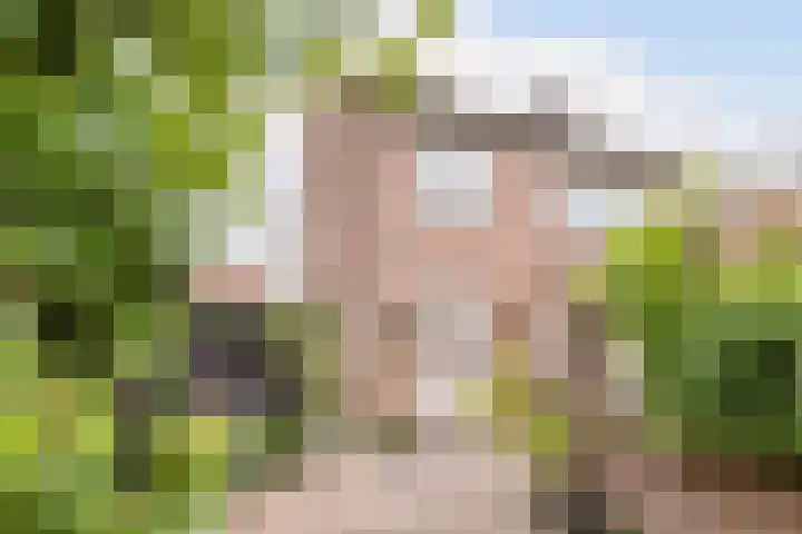 Julianalaan 23 Oosterhout thumbnail 32