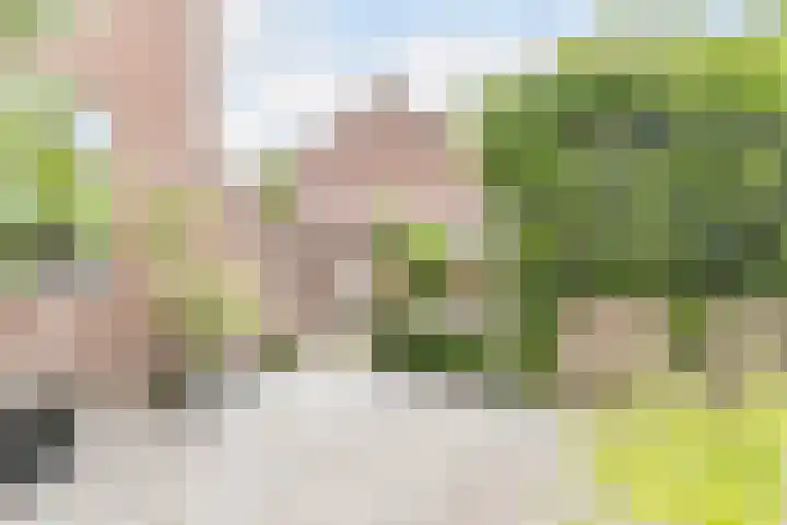 Julianalaan 23 Oosterhout thumbnail 33