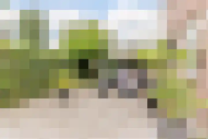 Julianalaan 23 Oosterhout thumbnail 34