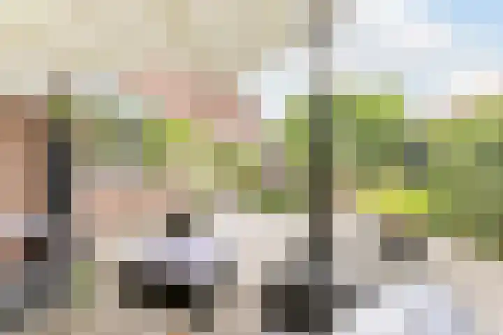 Julianalaan 23 Oosterhout thumbnail 35