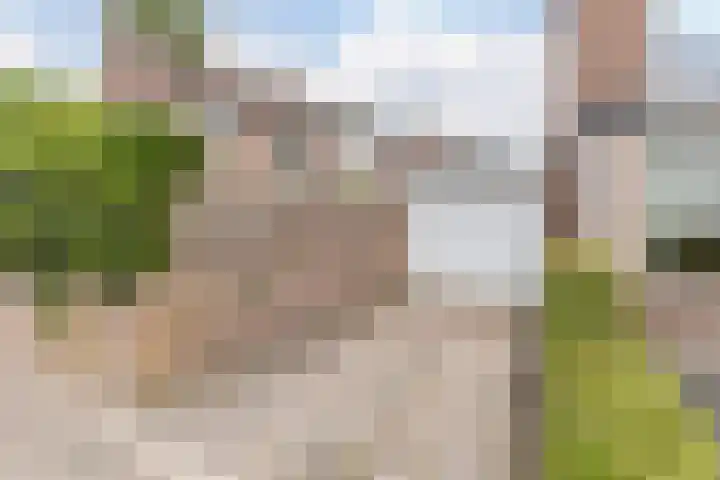 Julianalaan 23 Oosterhout thumbnail 38