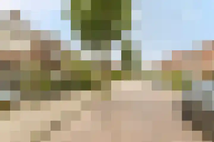 Julianalaan 23 Oosterhout thumbnail 39