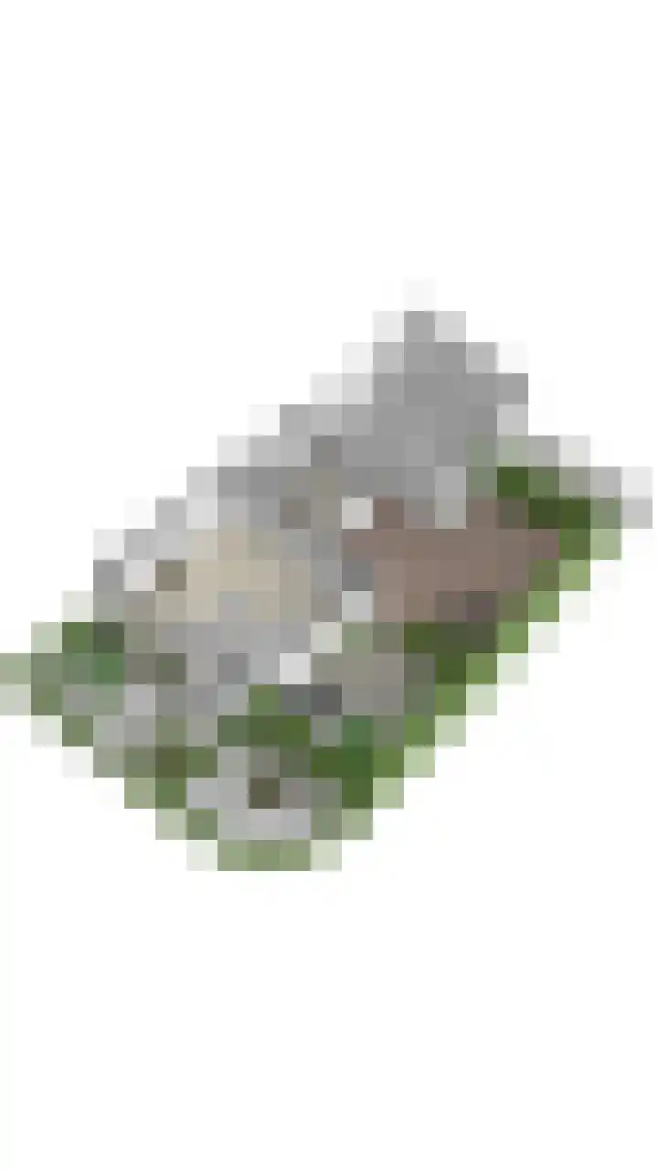 Julianalaan 23 Oosterhout thumbnail 45