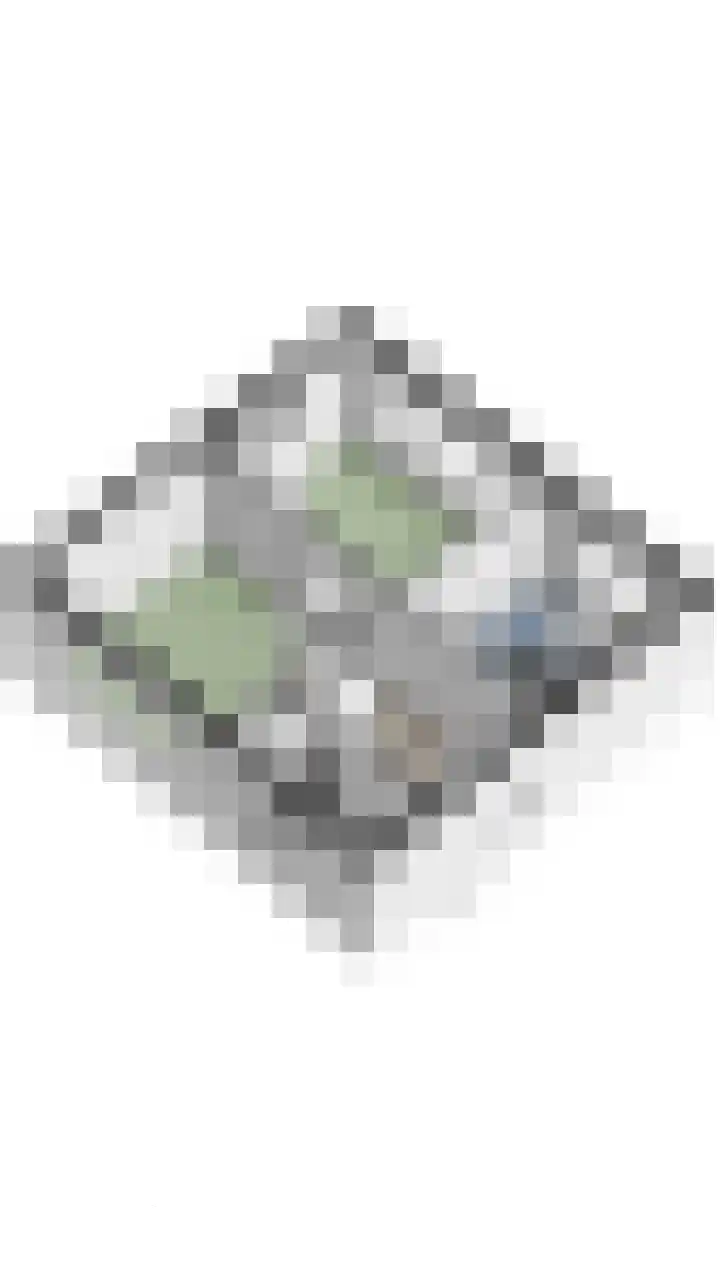 Julianalaan 23 Oosterhout thumbnail 47