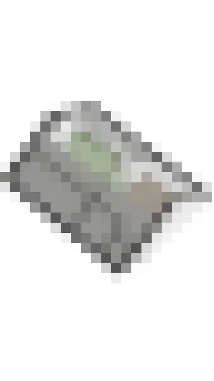 Julianalaan 23 Oosterhout thumbnail 48