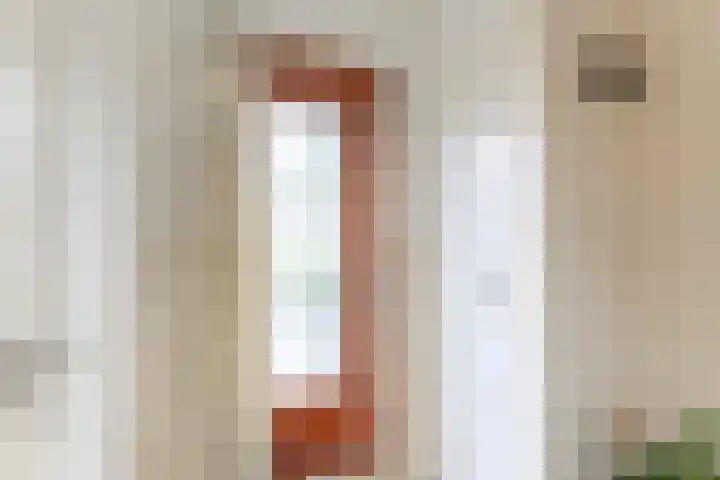 Julianalaan 23 Oosterhout thumbnail 5