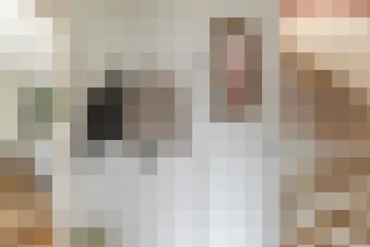 Julianalaan 23 Oosterhout thumbnail 7