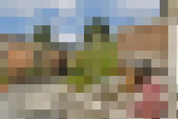 Julianalaan 23 Voorhout thumbnail 11