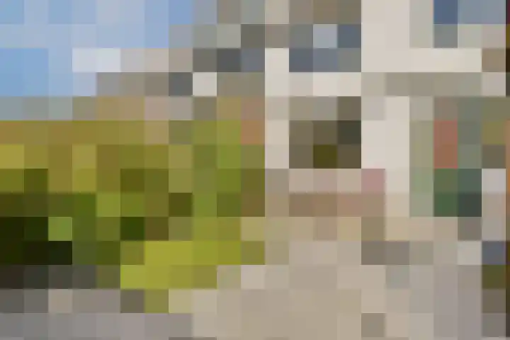 Julianalaan 23 Voorhout thumbnail 12