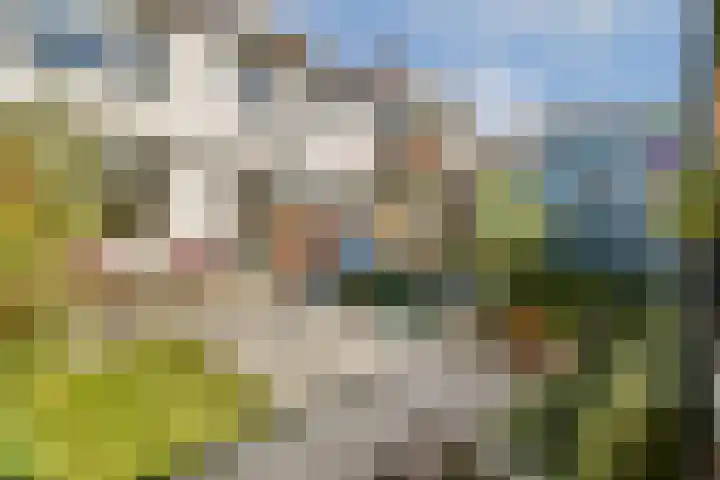 Julianalaan 23 Voorhout thumbnail 13