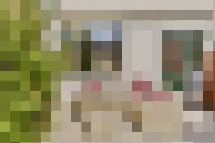Julianalaan 23 Voorhout thumbnail 14