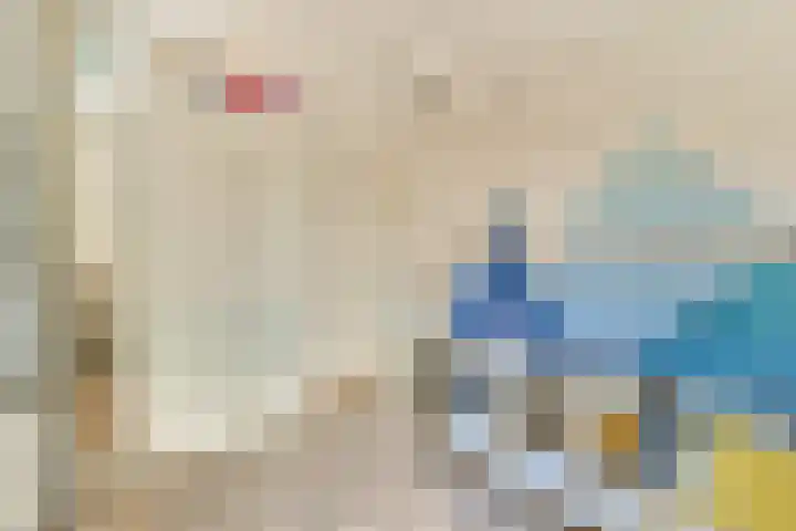 Julianalaan 23 Voorhout thumbnail 21