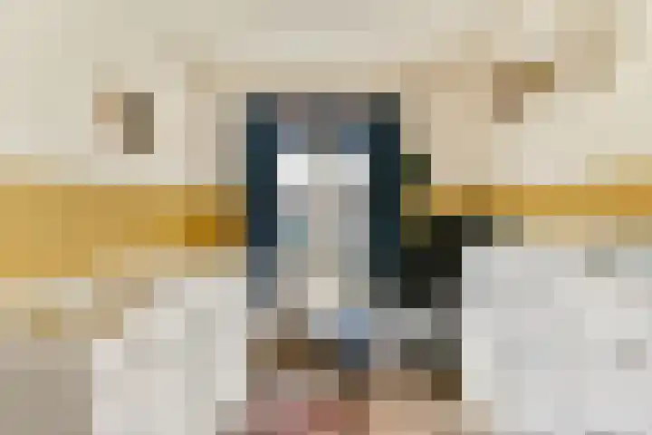Julianalaan 23 Voorhout thumbnail 22