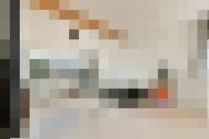 Julianalaan 23 Voorhout thumbnail 24