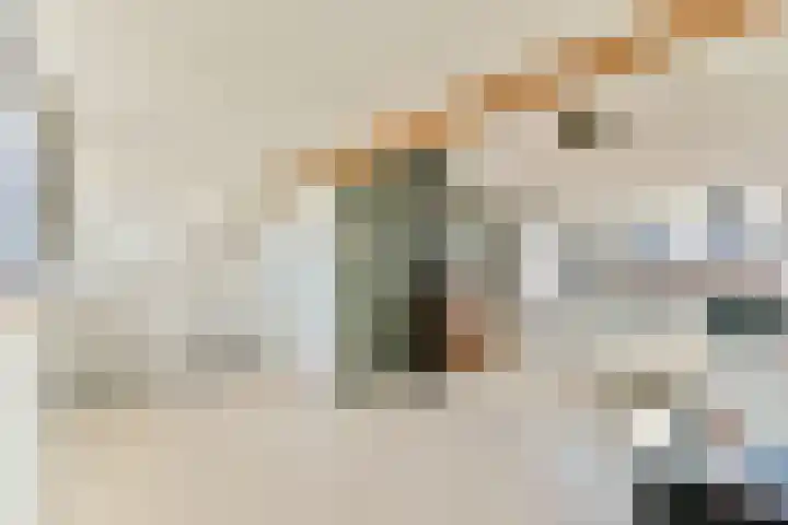 Julianalaan 23 Voorhout thumbnail 25