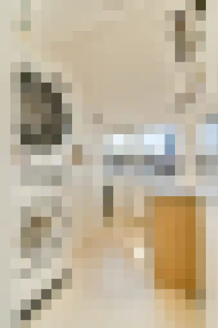 Julianalaan 23 Voorhout thumbnail 27