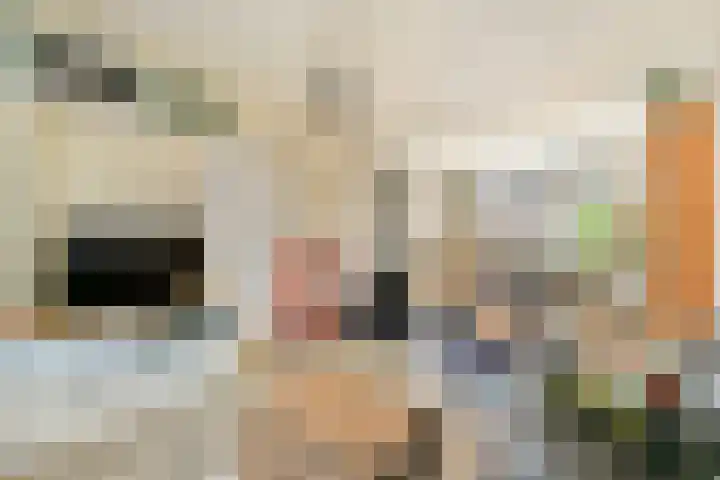 Julianalaan 23 Voorhout thumbnail 7
