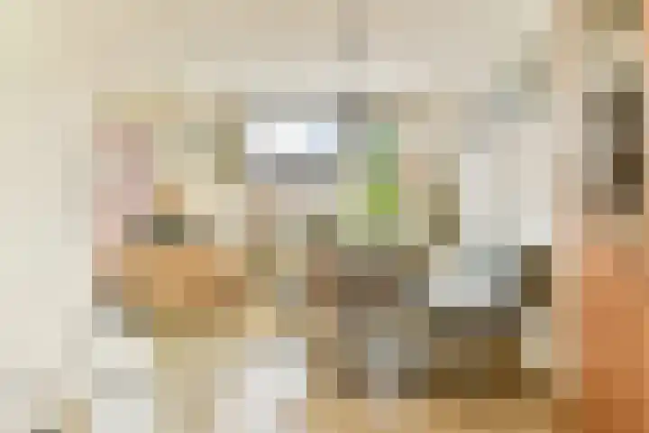 Julianalaan 23 Voorhout thumbnail 8